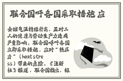 王拉拉升职辰悦最新更新内容阅读